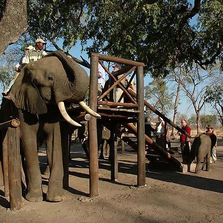 Three Cities Thorntree River Lodge Livingstone Luaran gambar