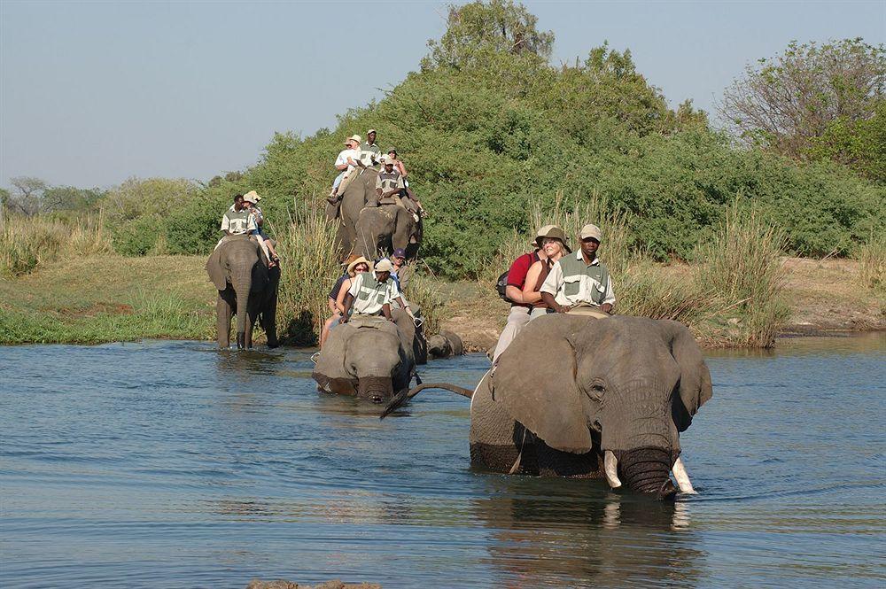 Three Cities Thorntree River Lodge Livingstone Luaran gambar