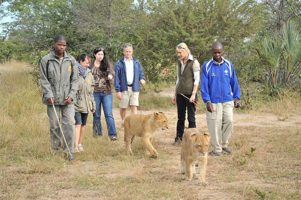 Three Cities Thorntree River Lodge Livingstone Luaran gambar