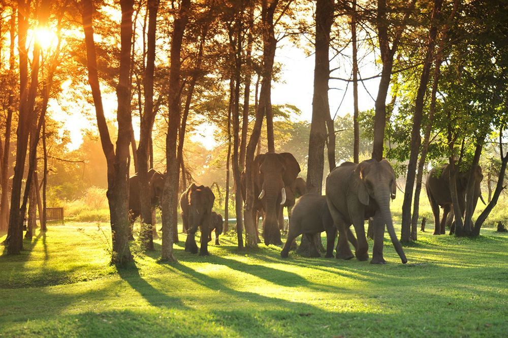 Three Cities Thorntree River Lodge Livingstone Luaran gambar